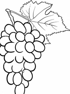 Раскраска Виноград картинка  онлайн