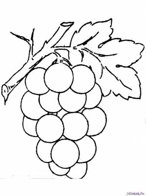 Раскраски виноград