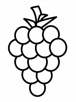 Виноград раскраска для детей