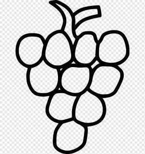 Рисование винограда Книжка-раскраска, виноград, шаблон, еда, текст png
