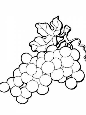 Раскраска Виноград картинка в формате  для детей