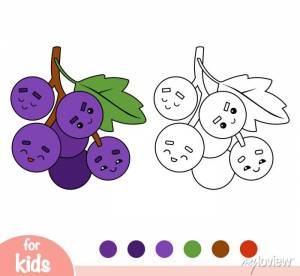 Книжка-раскраска, виноград с милым лицом фотообои