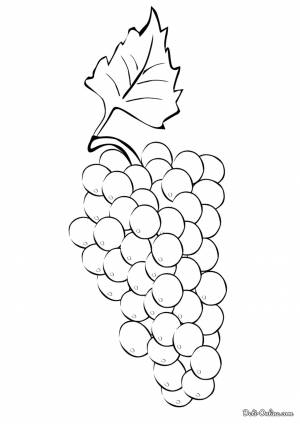 Раскраска Гроздь винограда