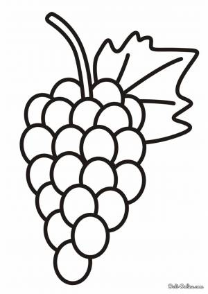 Раскраска Виноград