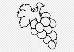 Виноградная Книжка-раскраска Рисование Фрукты, виноград, белый, лист, рука png