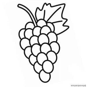 Раскраски Гроздь винограда