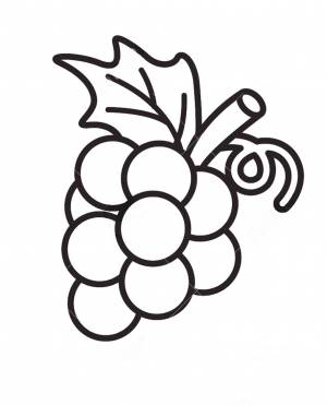 Раскраска виноград  и