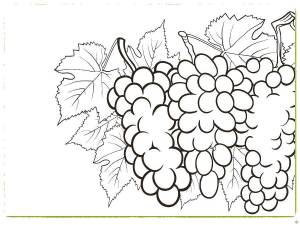 Раскраски Раскраска Виноград с листьями фрукты детские