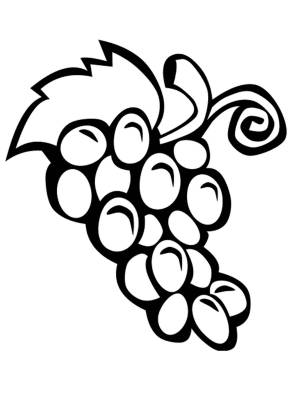 Раскраски Раскраска Виноград ягоды фрукты