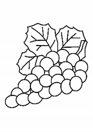 Раскраски, Рисунок виноград