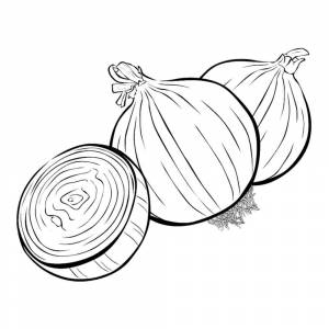 Раскраска Лук