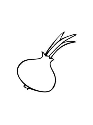 Раскраска Лук