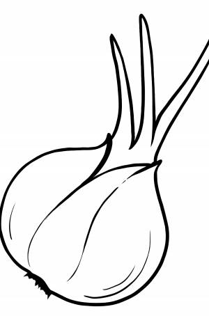 Раскраска Лук репчатый для малышей
