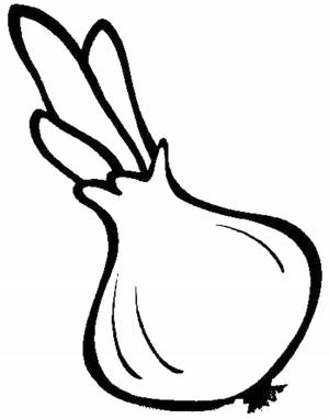 Раскраски Раскраска Лук овощи фиксики