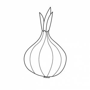 Простая раскраска лук штриховая графика овощи