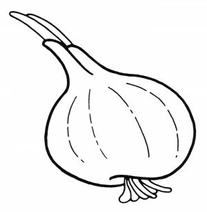 Раскраска Репчатый лук