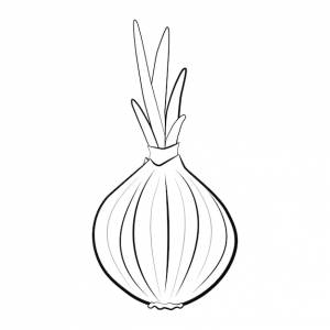 Лук раскраски
