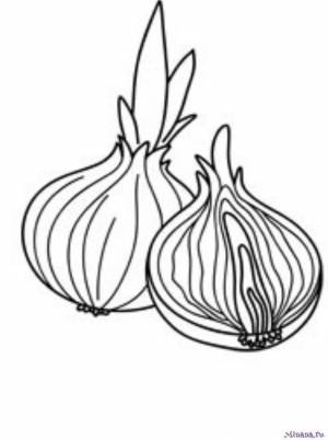 Раскраска лук 8