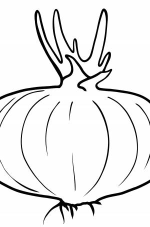 Раскраска Лук красный для малышей