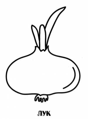Раскраска Лук