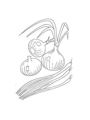 Раскраска Лук