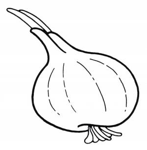 DataLife Engine > Версия для печати > Раскраска лука