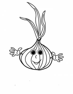 Раскраска лук  и