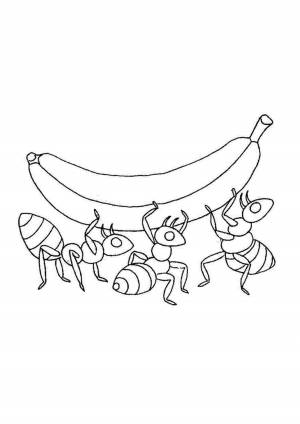 Раскраска банан