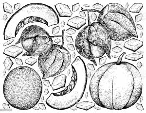 DataLife Engine > Версия для печати > Дыня рисунок карандашом