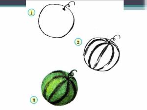 Как нарисовать дыню