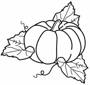 Раскраска Тыква в листьях