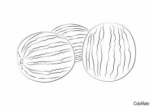 Раскраска Спелые арбузы