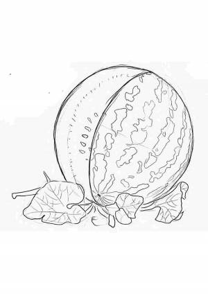 Раскраски, раскраска арбуз