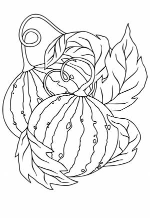 Раскраска Арбуз Настоящий