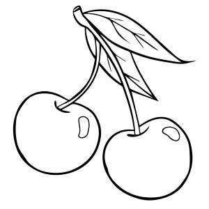 Ягода вишня