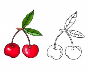 Вишня в черном контуре и красочный рисунок вишневое изображение для цветных книг