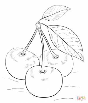 Раскраска Вишни на плодоножках из листиками