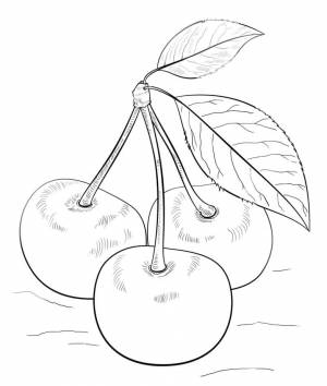Раскраска Вишня