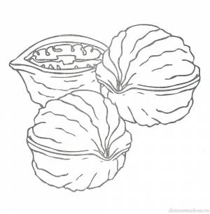 бесплатные раскраски с орешками раскраски детские окружающий мир