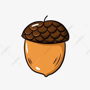 Орехи для срисовки