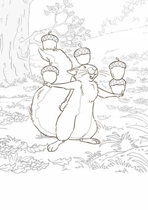 Раскраски Орехи