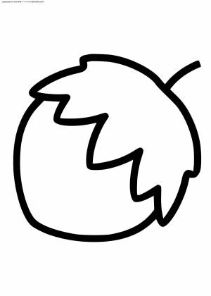 Лесной орех раскраска для детей