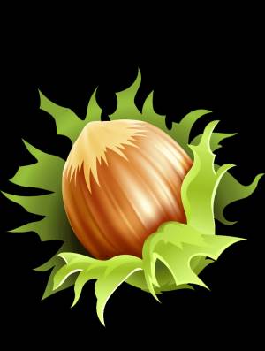 Раскраска Орехи