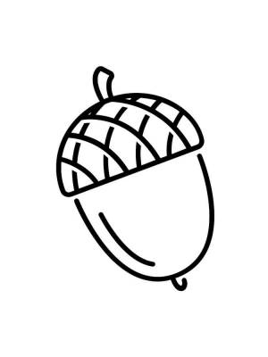 Раскраски Орех