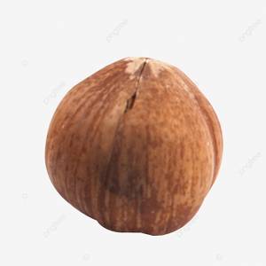 Северо восточный лесной орех PNG , Северо восточная специальность, орех, Галантерея PNG картинки и пнг PSD рисунок для й загрузки
