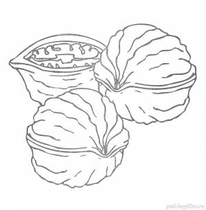 Раскраска для детей