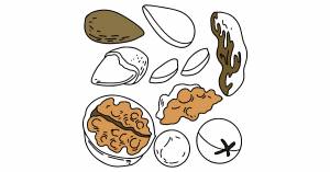 Раскраска орехи