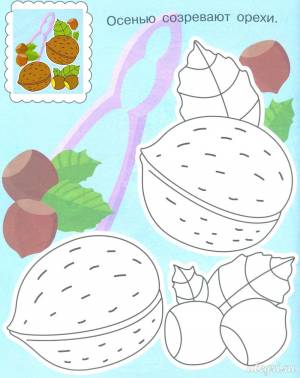 Осенние раскраски для детей