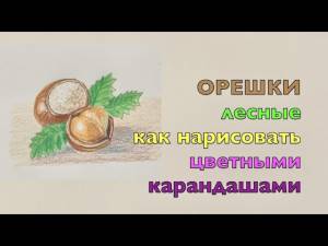 Орех лесной