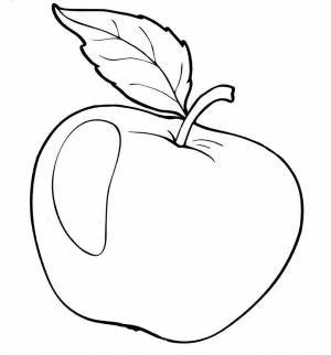 раскраски фрукты